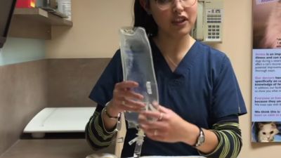 How to Administer Subcutaneous Fluids