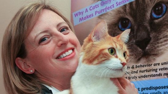 Cat Hospital | Cats Exclusive Veterinary Center | Cat Vet & Boarding